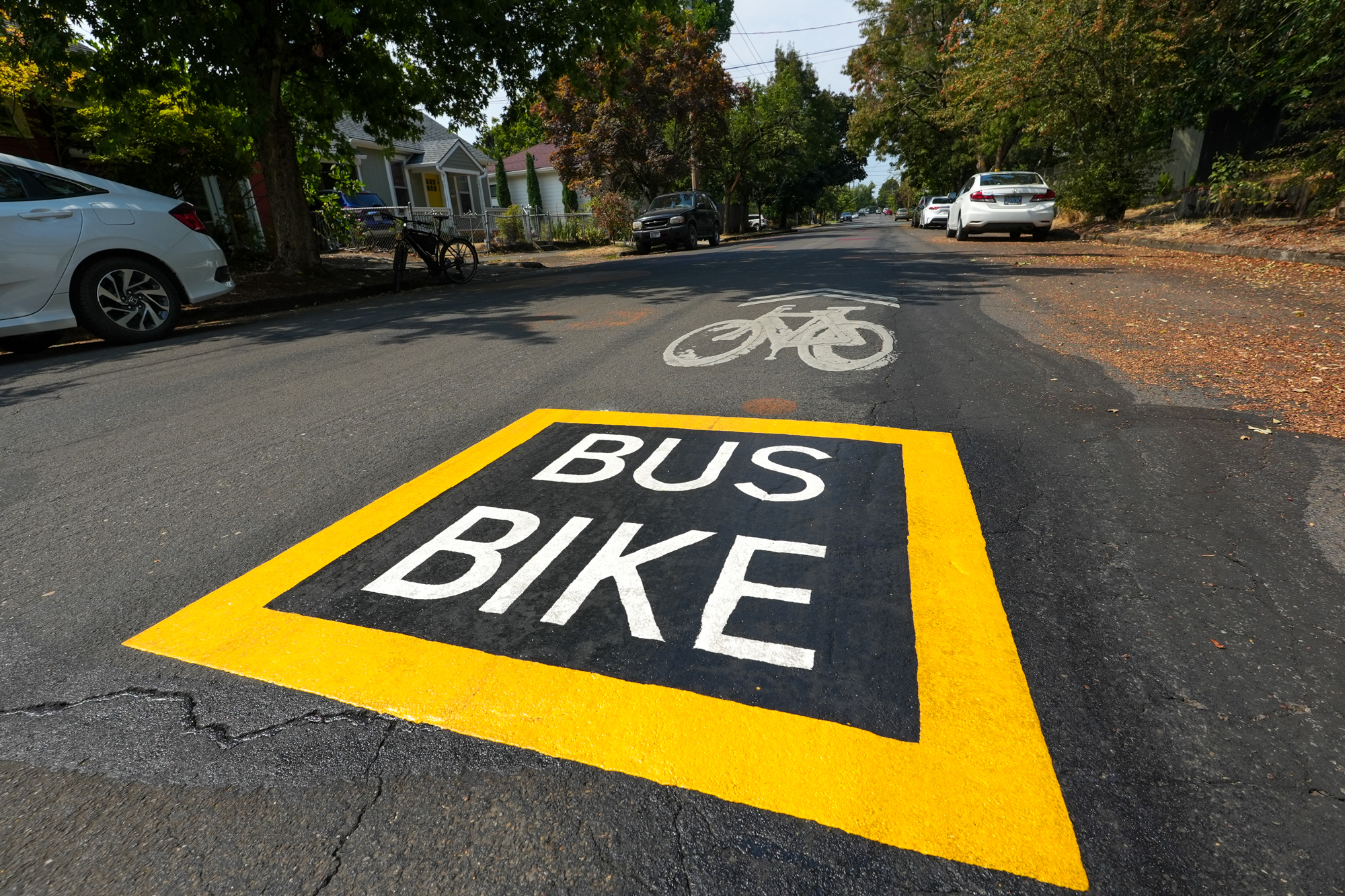 City boosts bike buses with new markings, signage